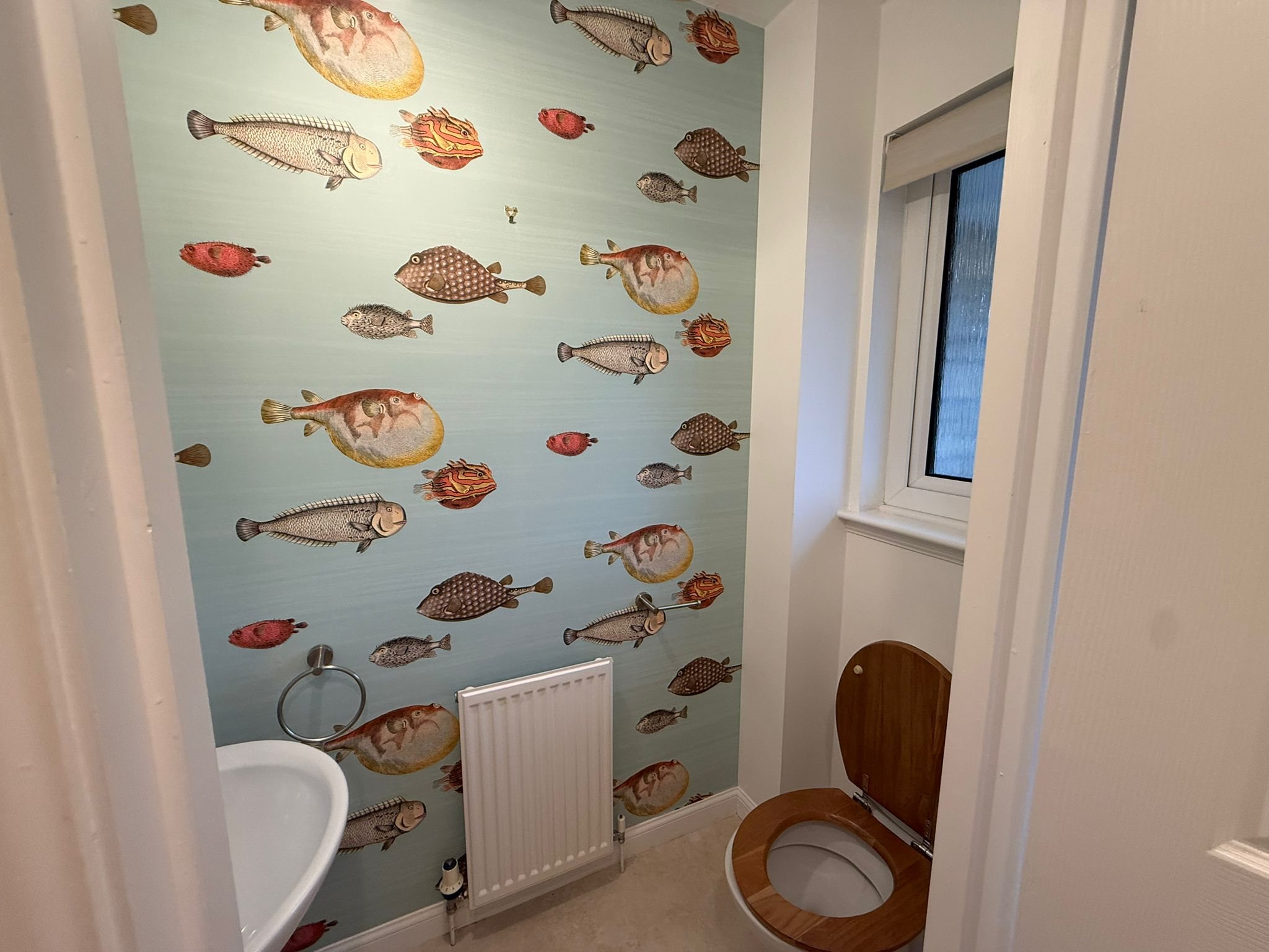 Morgan-Street-Dundee-2-image